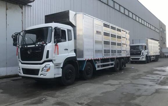 ����ǰ�ĺ�������\(y��n)ݔ܇